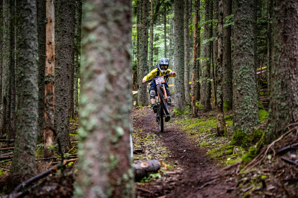 Vélo Vert Festival