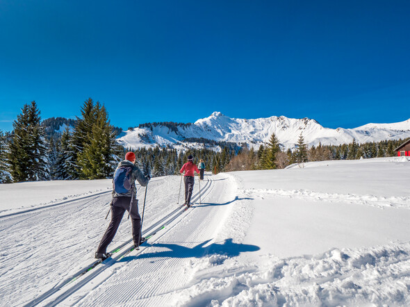 Praz de Lys Sommand