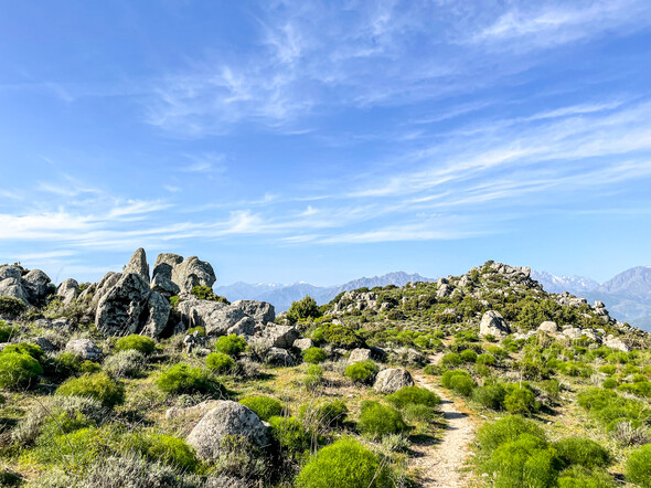 LE MONTE ASTU