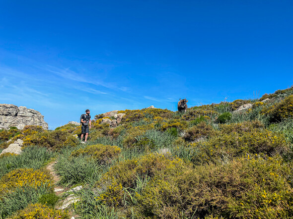 LE MONTE ASTU