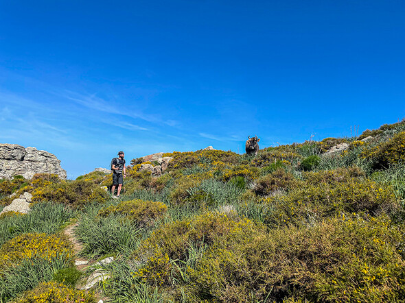 Gravir le Monte Astu