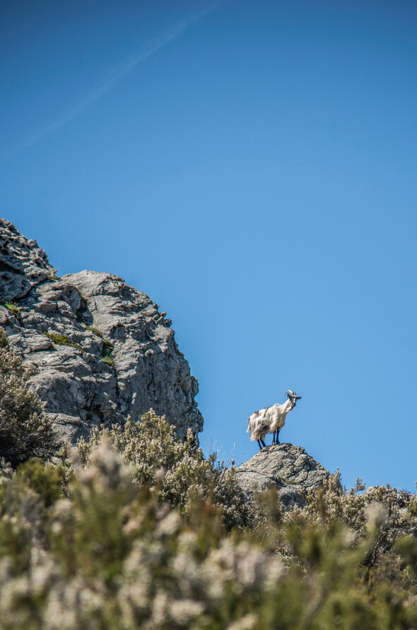 Gravir le Monte Astu