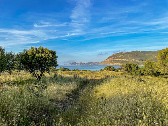 L'Île-Rousse : notre guide pour voyager