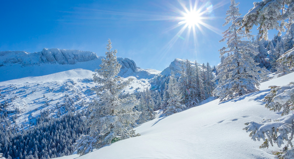 Le Vercors des kilomètres de piste entre sous-bois et plateaux