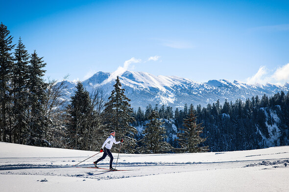 Le Vercors des kilomètres de piste entre sous-bois et plateaux