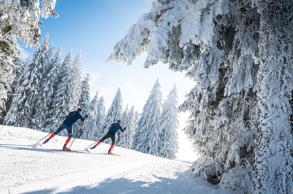 Le Vercors des kilomètres de piste entre sous-bois et plateaux