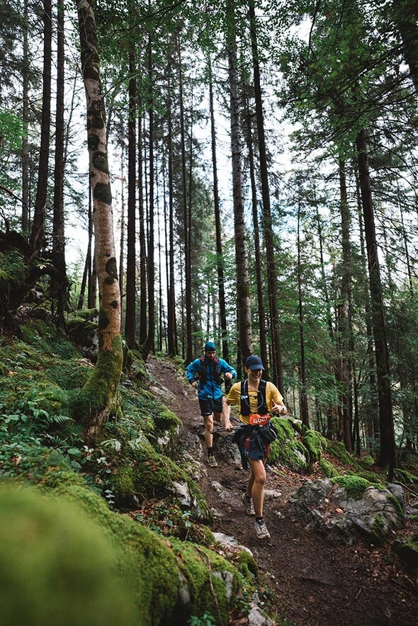 Le Bélier blanc, le Bélier VTT, le Bélier Trail & Rando, la Trilogie du bélier :  l’animal à 3 cornes