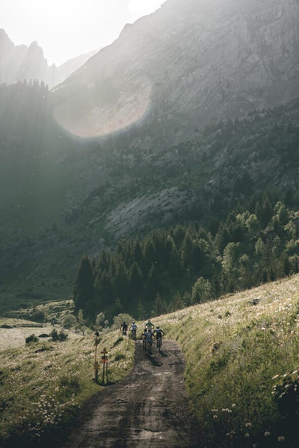 Le Bélier blanc, le Bélier VTT, le Bélier Trail & Rando, la Trilogie du bélier :  l’animal à 3 cornes