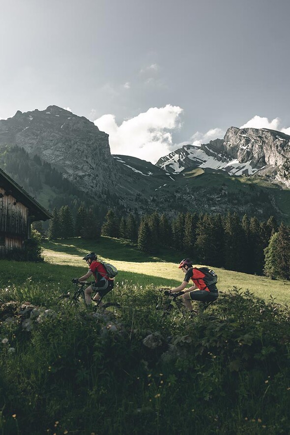 Le Bélier blanc, le Bélier VTT, le Bélier Trail & Rando, la Trilogie du bélier :  l’animal à 3 cornes