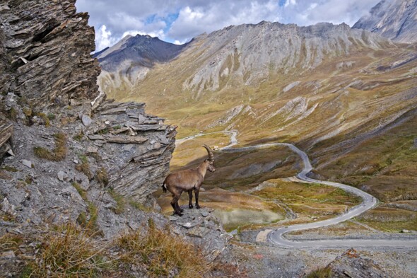 Le Queyras, des cols mythiques fermés à la circulation