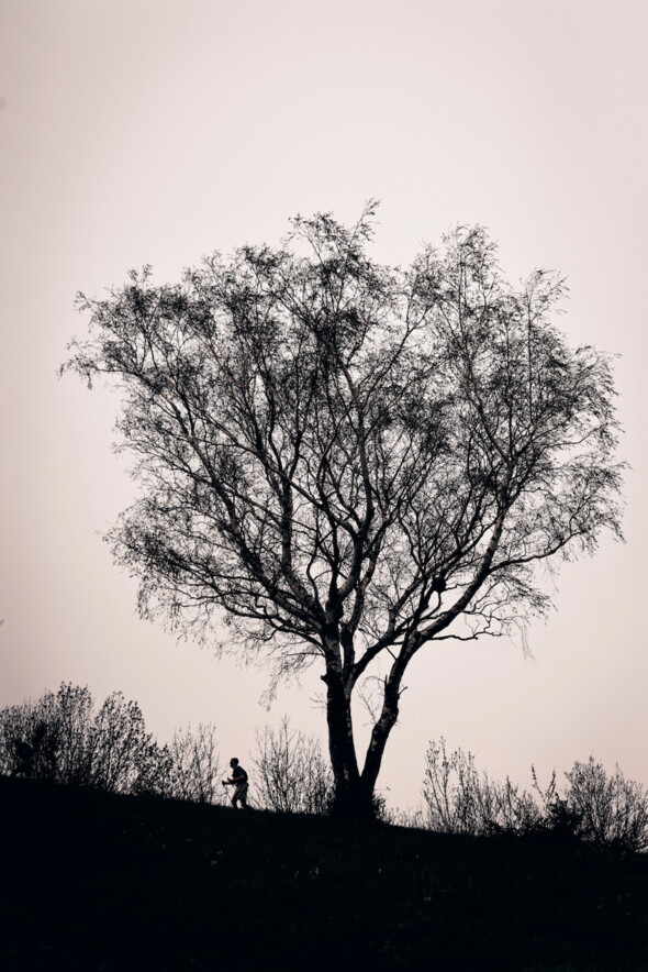 Cyrille Quintard la photographie Sur les sentiers de l’instinct