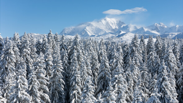 Crest-Voland Cohennoz, Petits villages, Grands espaces : l’équilibre parfait