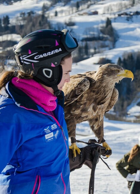 Festival Aigles à Ski