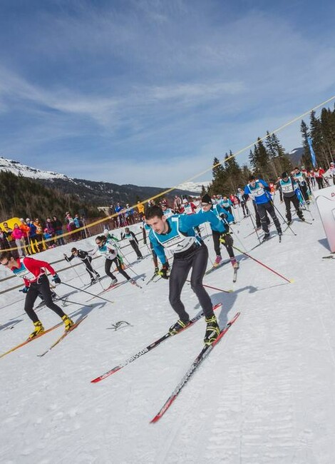Alpinum Impulse Tour