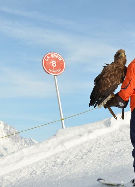 Festival Aigles à Ski à La Giettaz en Aravis