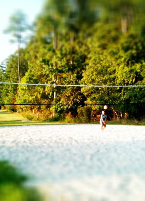 Tournoi sportif de Volley-ball