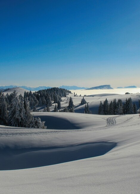 Trail blanc du Semnoz