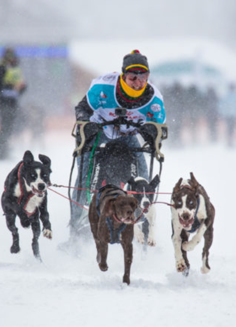 Lekkarod - course de traîneaux à chiens