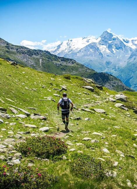 TRAIL DE LA ROSIÈRE