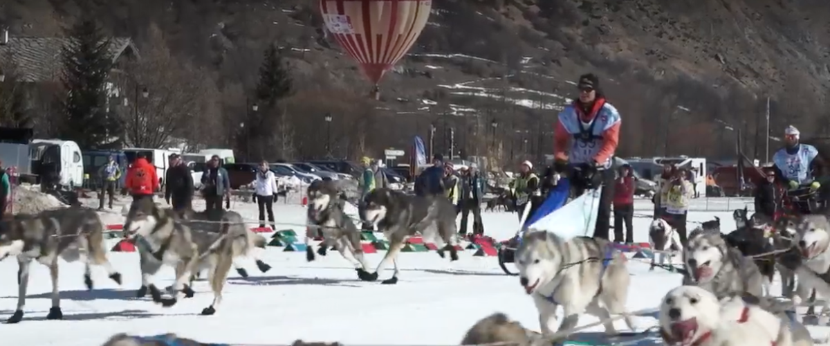 Lekkarod - course de traîneaux à chiens