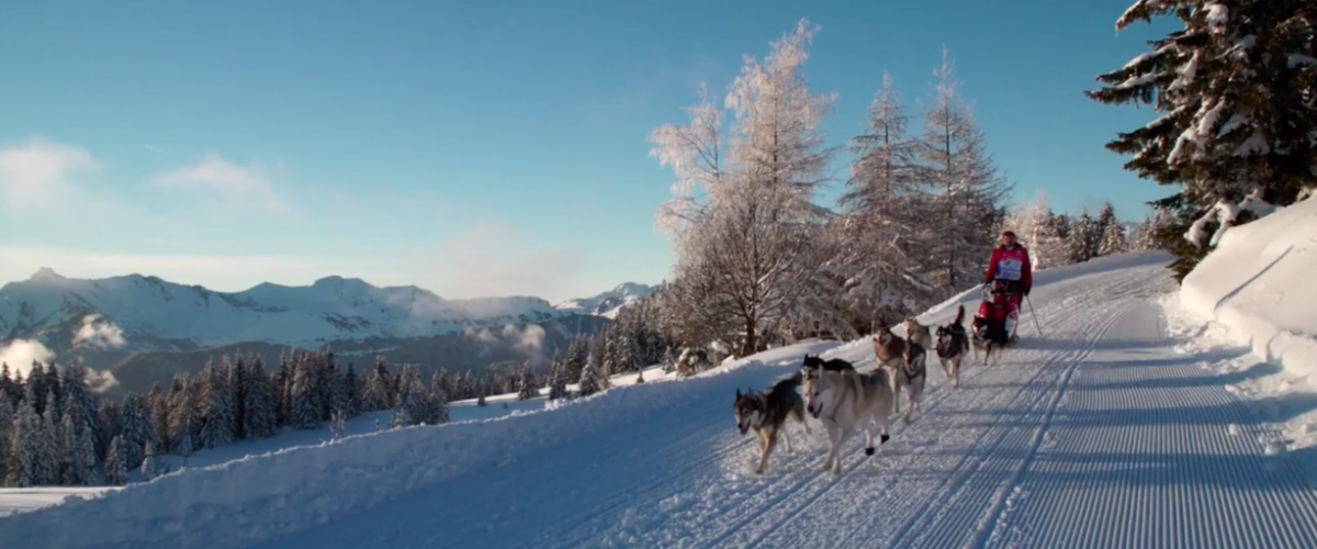 LA GRANDE ODYSSEE SAVOIE MONT-BLANC