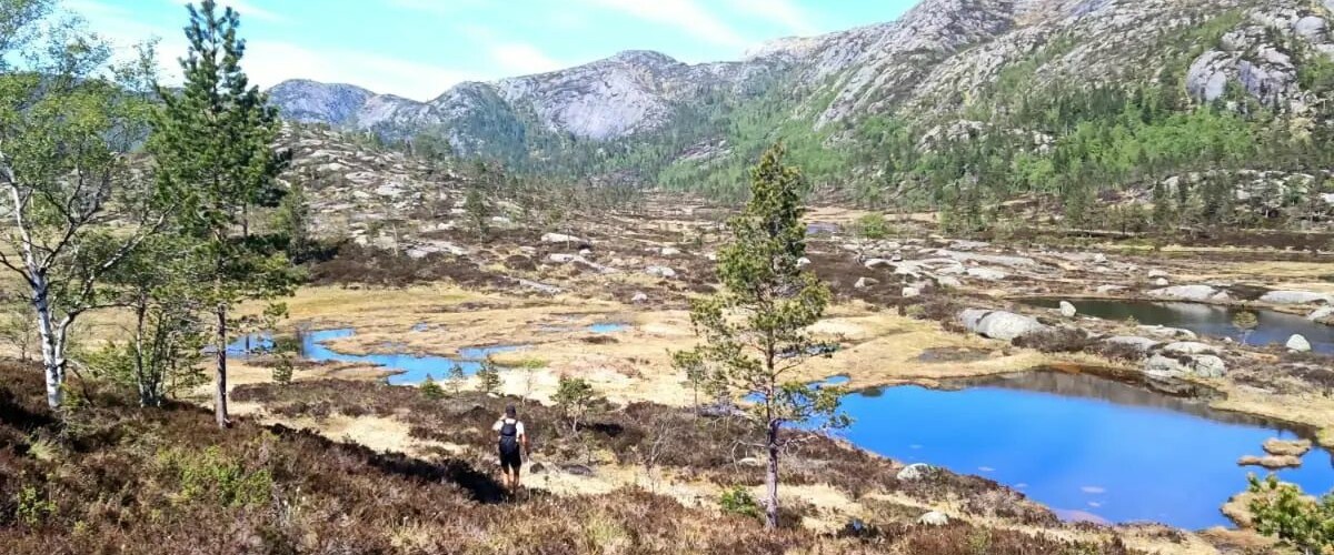 Une randonnée de 3 000 kilomètres en Norvège sans GPS : le rêve fou des frères Roux