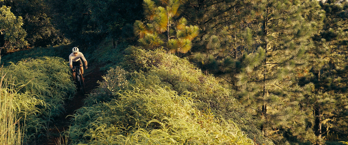 Le Gravel à Tahiti selon Jules Dreyer